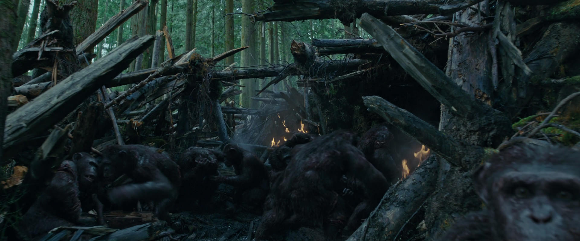 War for the Planet of the Apes (2017) movie still 775