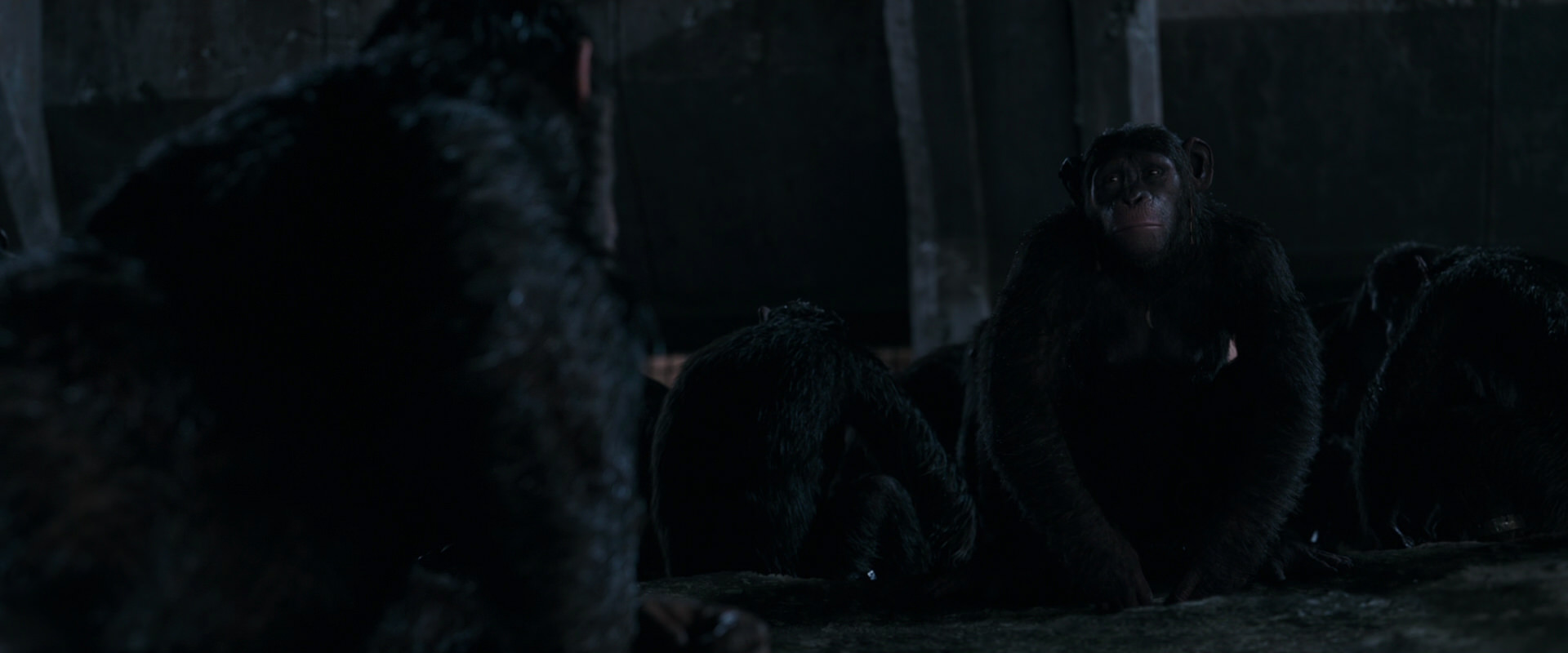 War for the Planet of the Apes (2017) movie still 7750