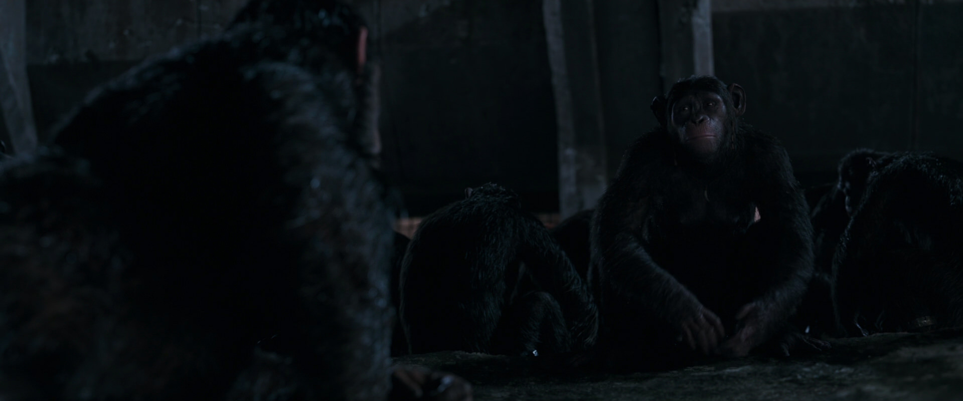 War for the Planet of the Apes (2017) HD screenshot 7751