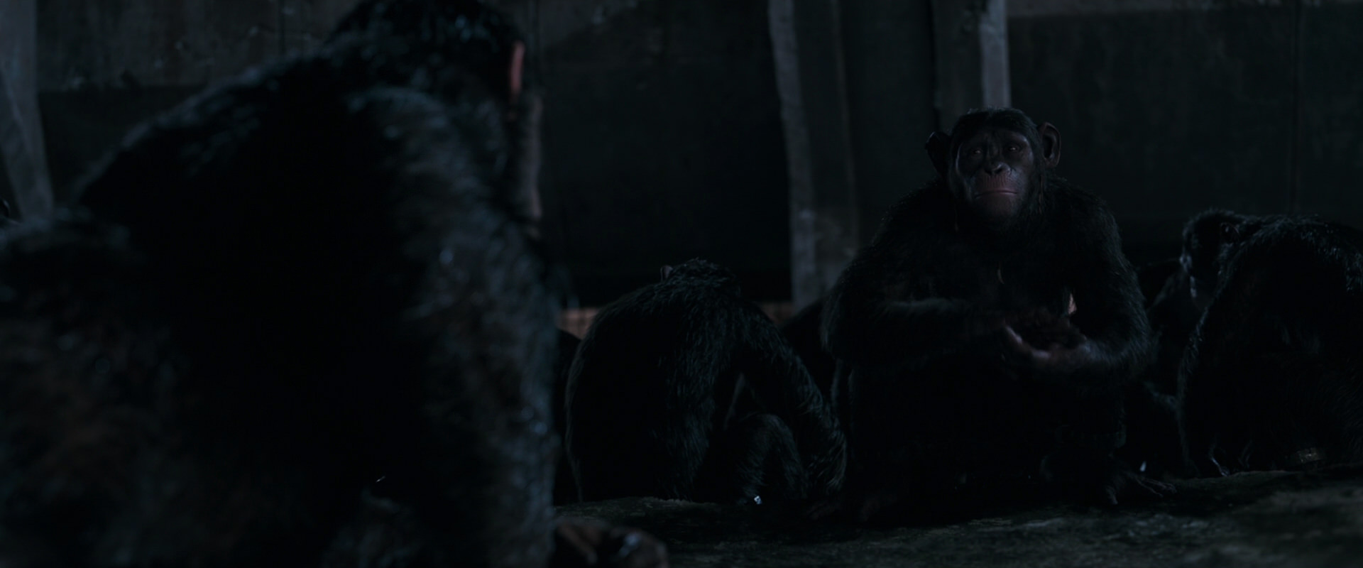 War for the Planet of the Apes (2017) screencap 7752