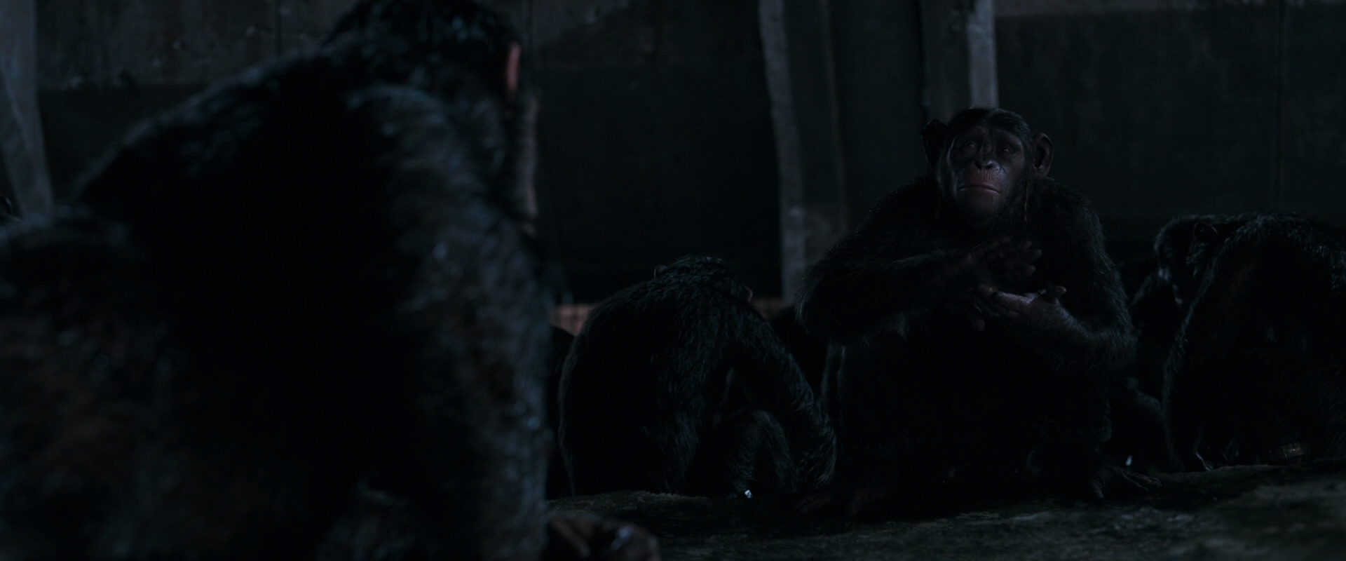 War for the Planet of the Apes (2017) movie still 7753