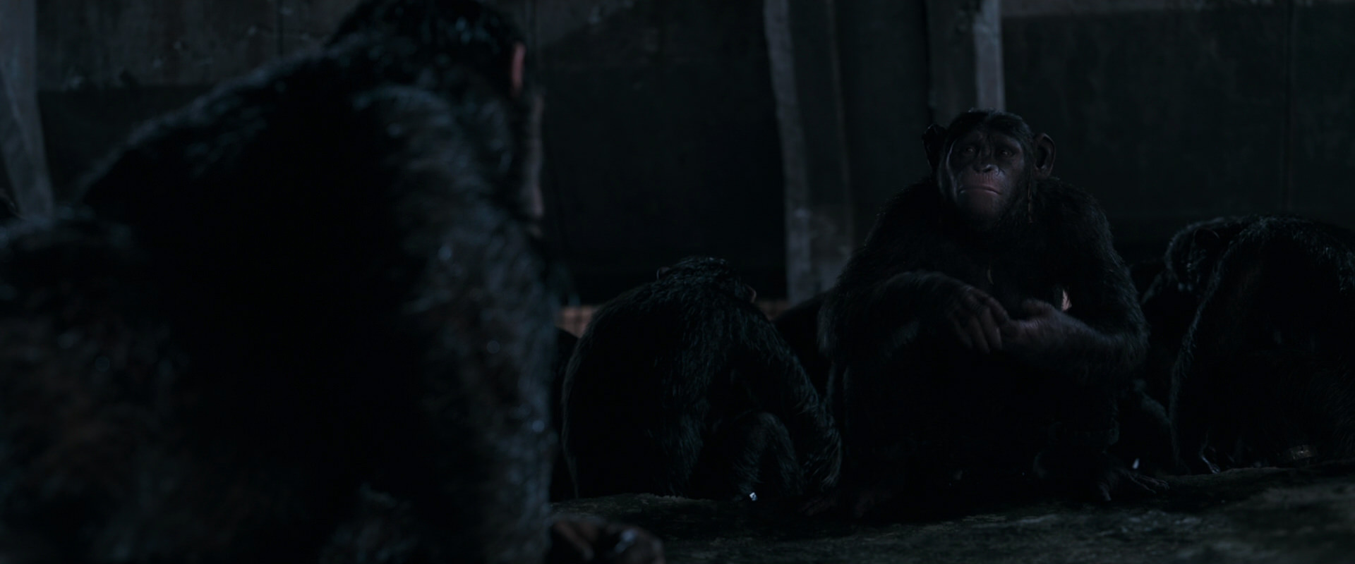 War for the Planet of the Apes (2017) HD screenshot 7754
