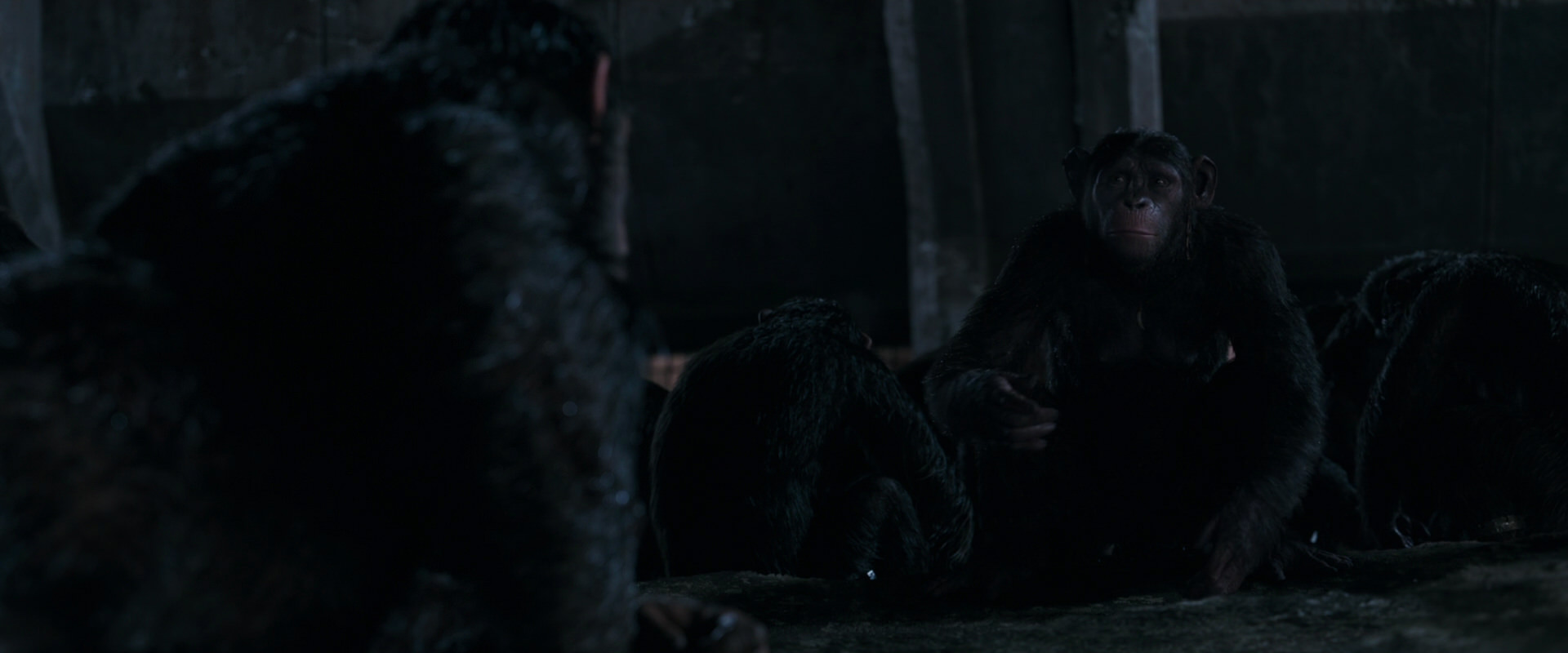 War for the Planet of the Apes (2017) screencap 7755