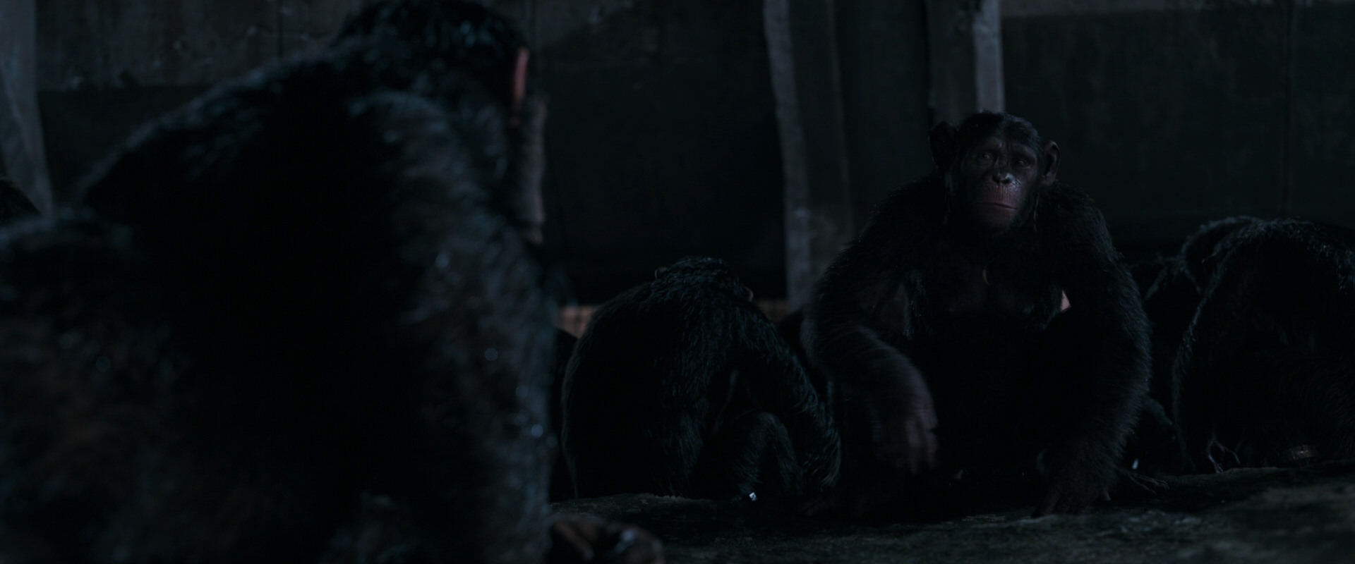 War for the Planet of the Apes (2017) movie still 7756