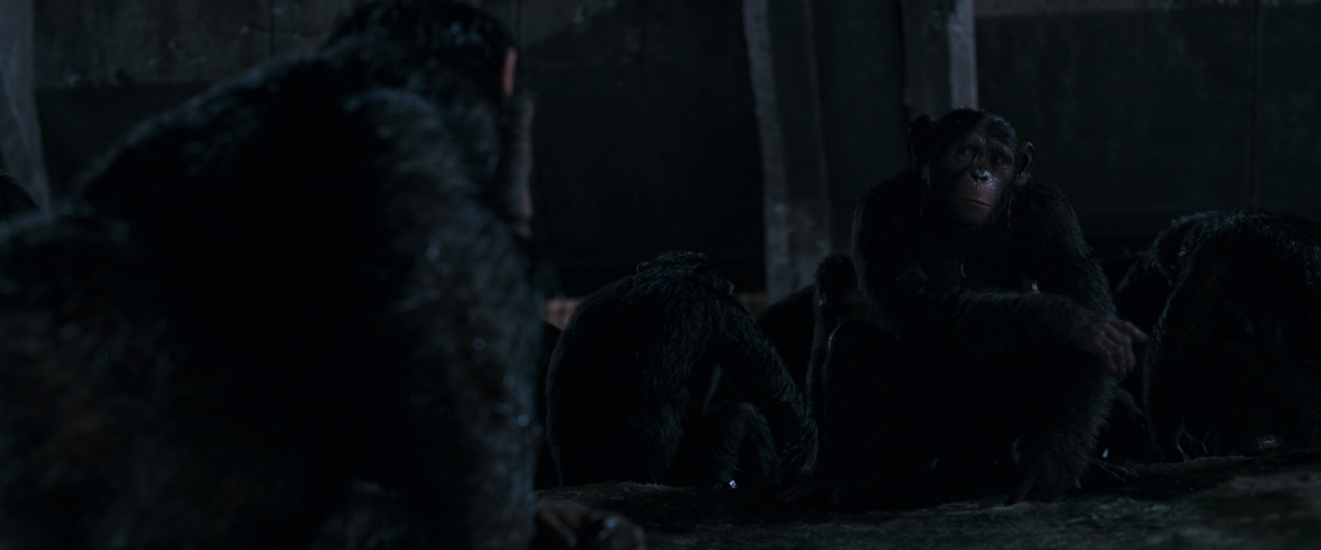 War for the Planet of the Apes (2017) HD screenshot 7757