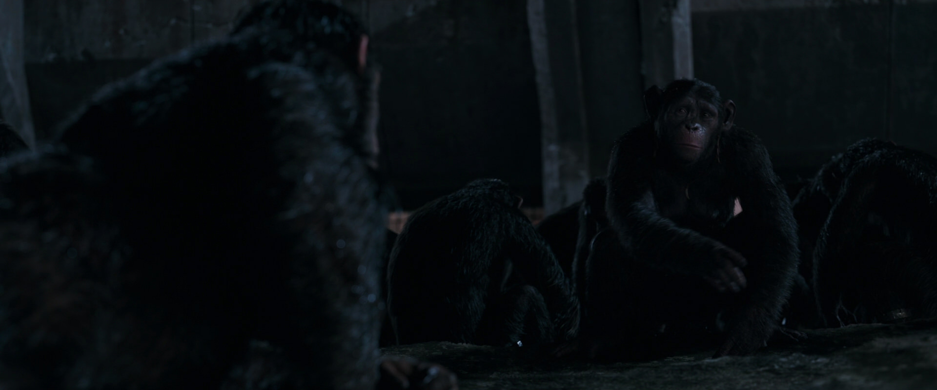War for the Planet of the Apes (2017) screencap 7758