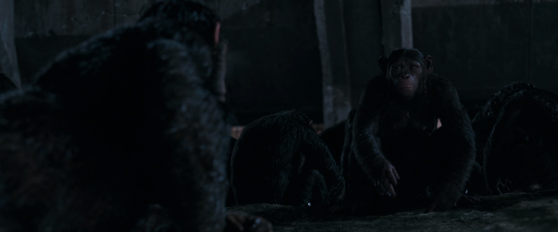 War for the Planet of the Apes (2017) movie still 7759