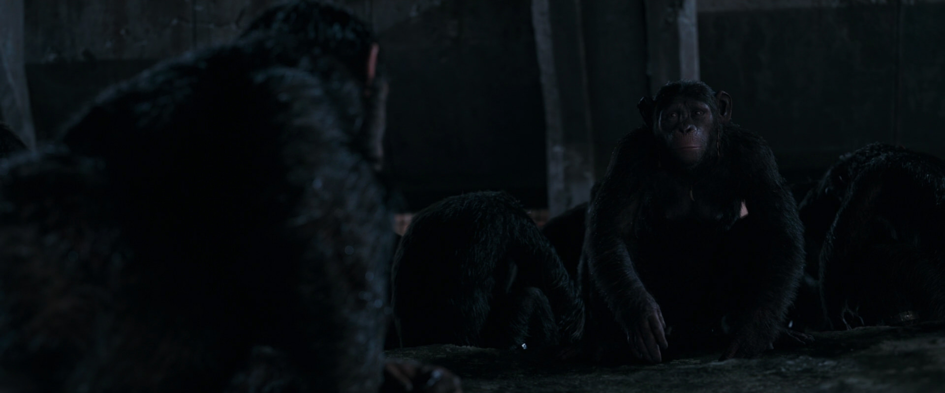 War for the Planet of the Apes (2017) HD screenshot 7760
