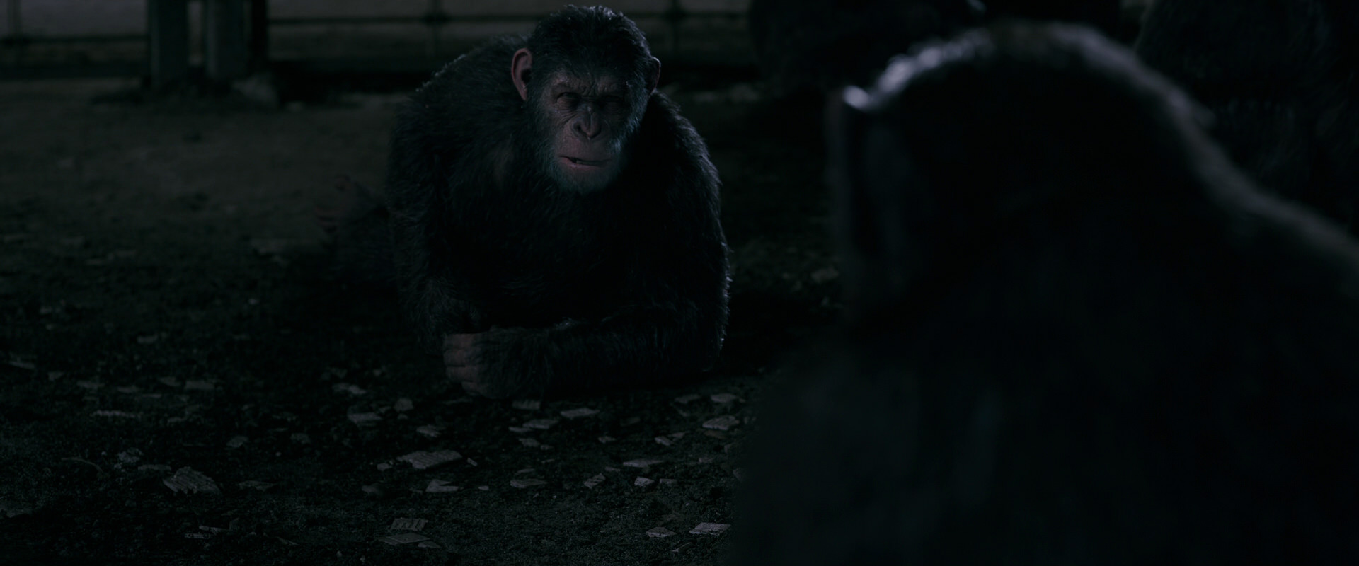 War for the Planet of the Apes (2017) screencap 7761