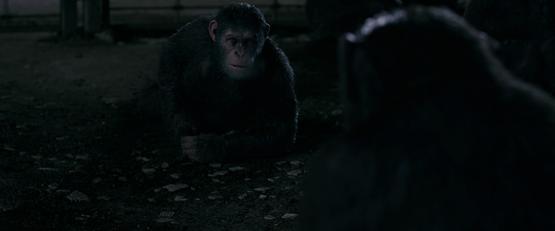 War for the Planet of the Apes (2017) movie still 7762