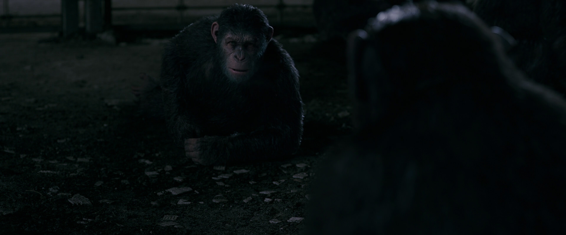 War for the Planet of the Apes (2017) screencap 7764