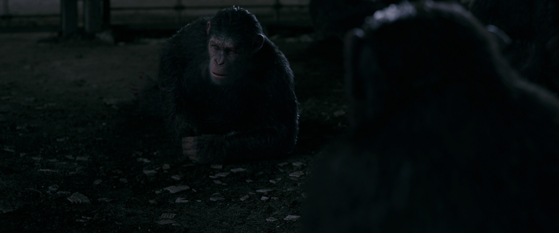 War for the Planet of the Apes (2017) movie still 7765