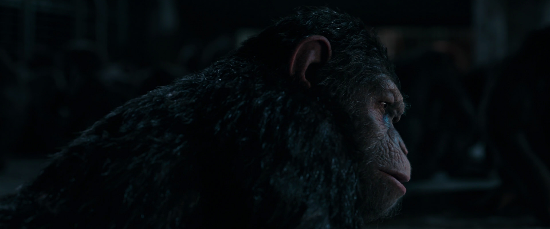 War for the Planet of the Apes (2017) HD screenshot 7766