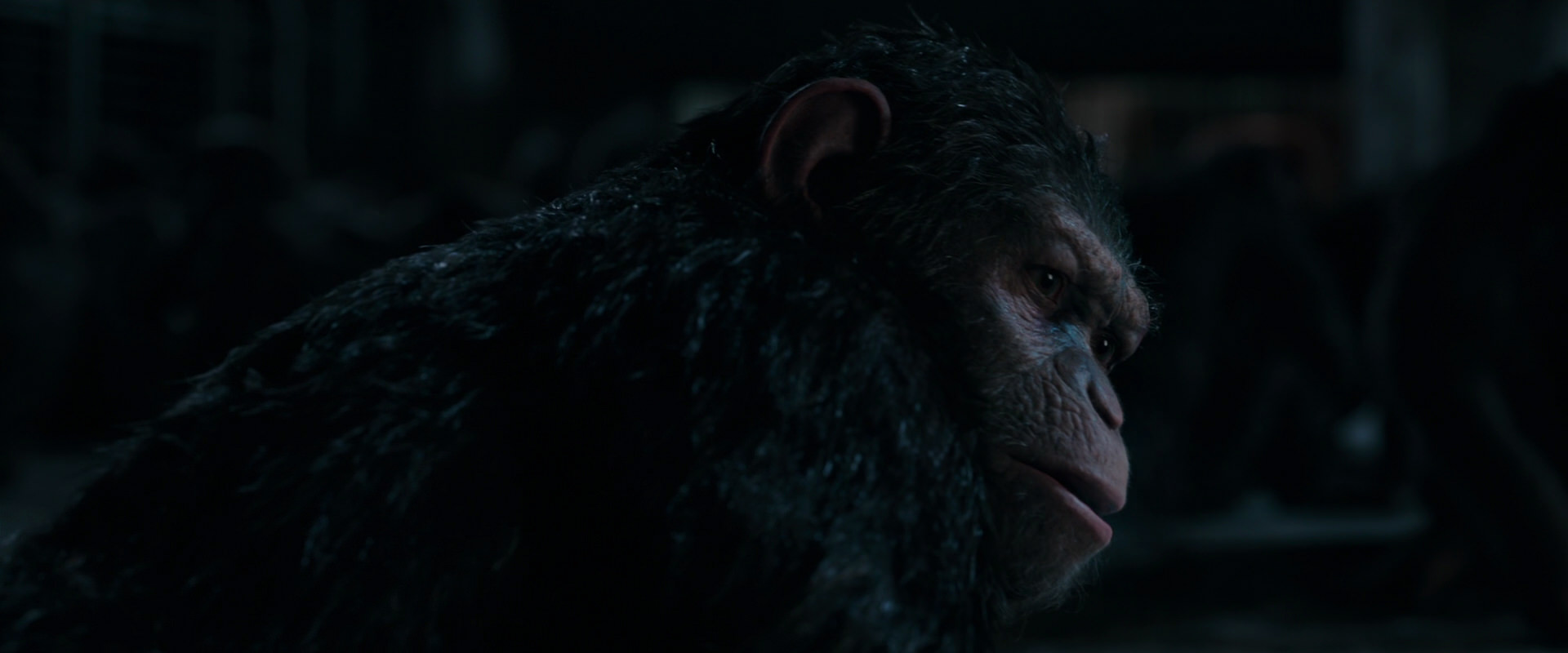 War for the Planet of the Apes (2017) screencap 7767