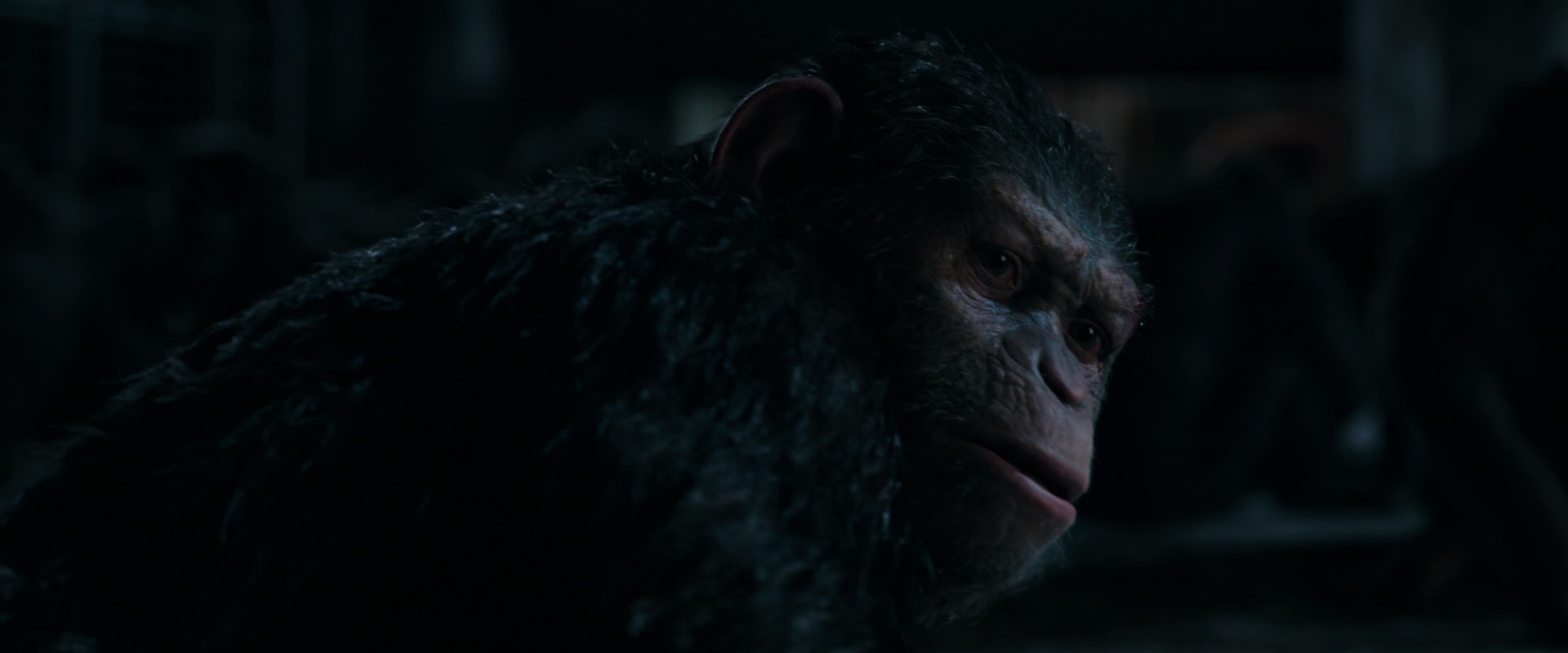 War for the Planet of the Apes (2017) movie still 7768