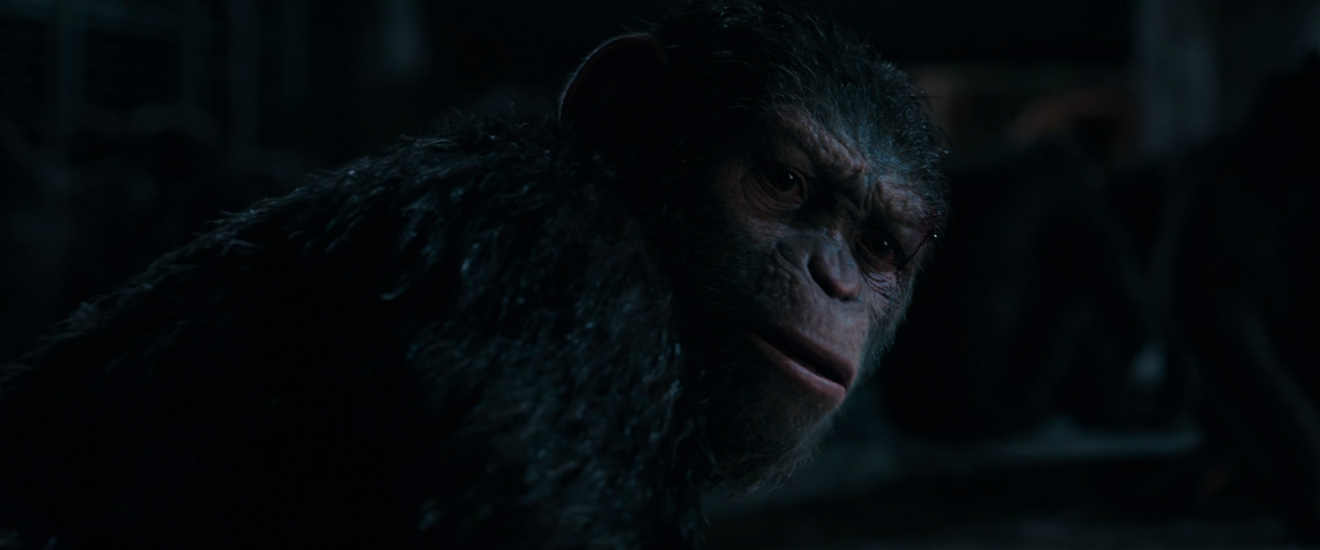 War for the Planet of the Apes (2017) HD screenshot 7769