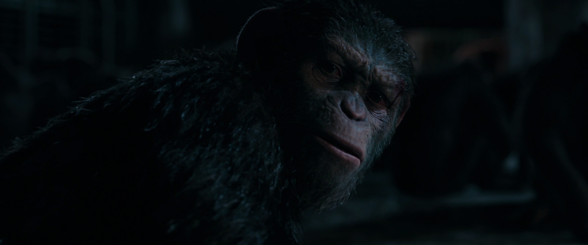 War for the Planet of the Apes (2017) screencap 7770