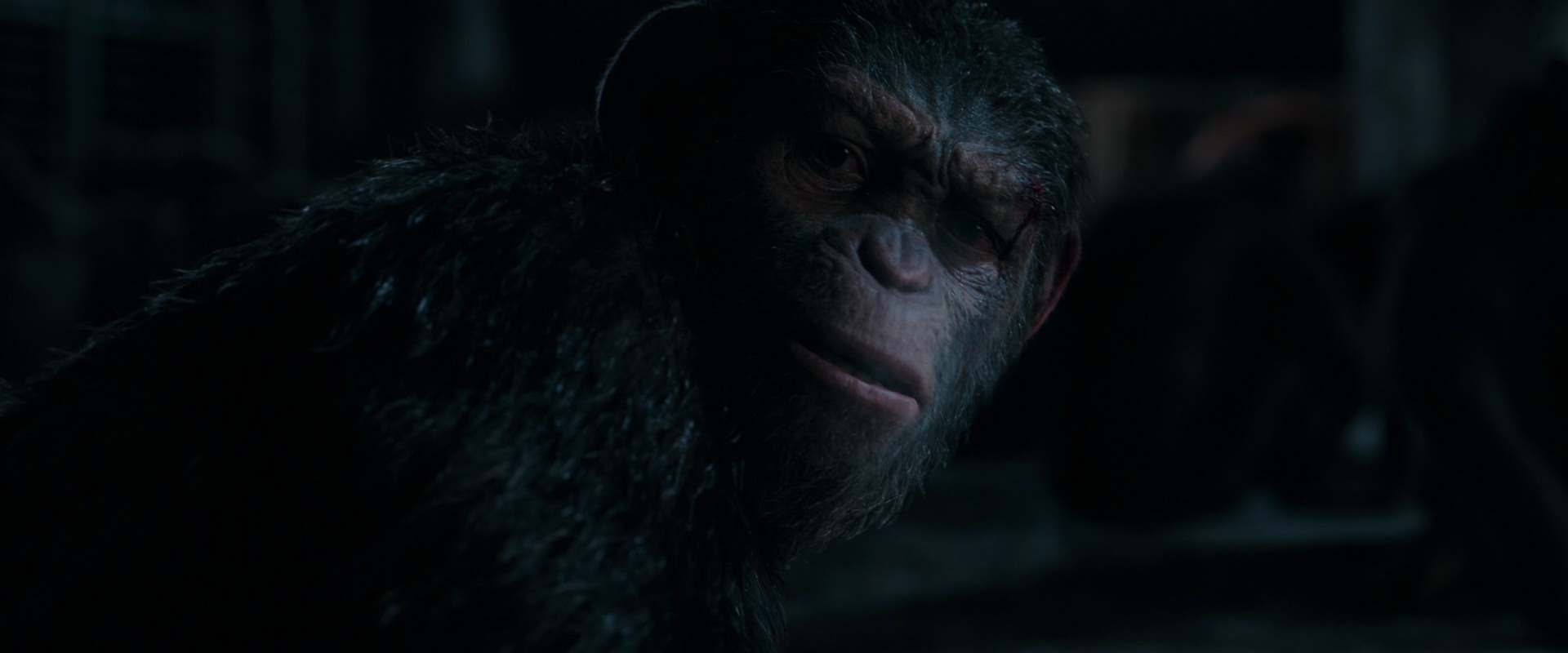 War for the Planet of the Apes (2017) movie still 7771