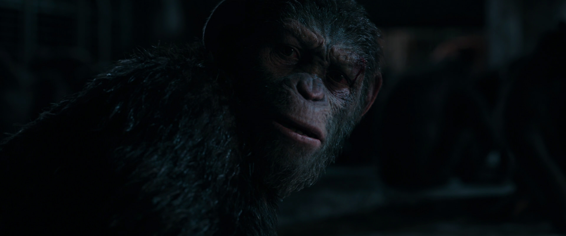 War for the Planet of the Apes (2017) HD screenshot 7772