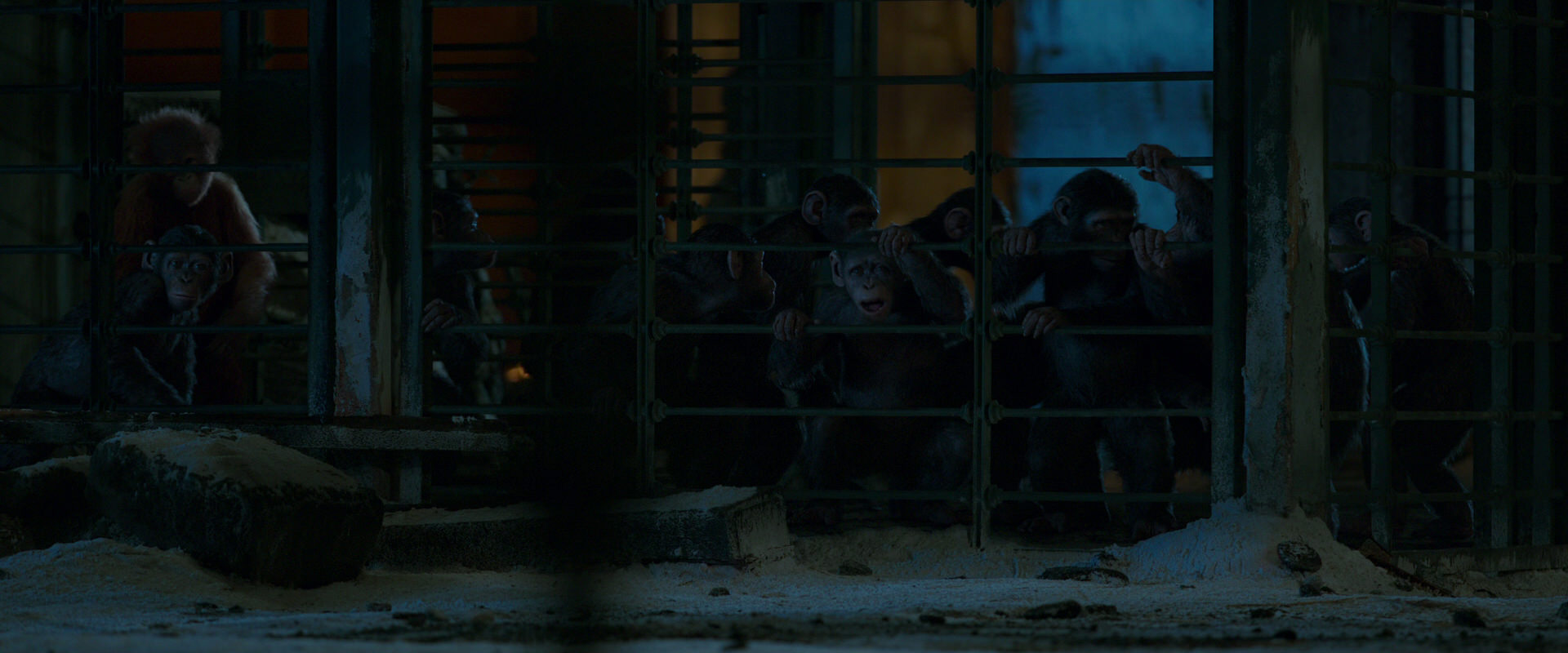 War for the Planet of the Apes (2017) screencap 7773