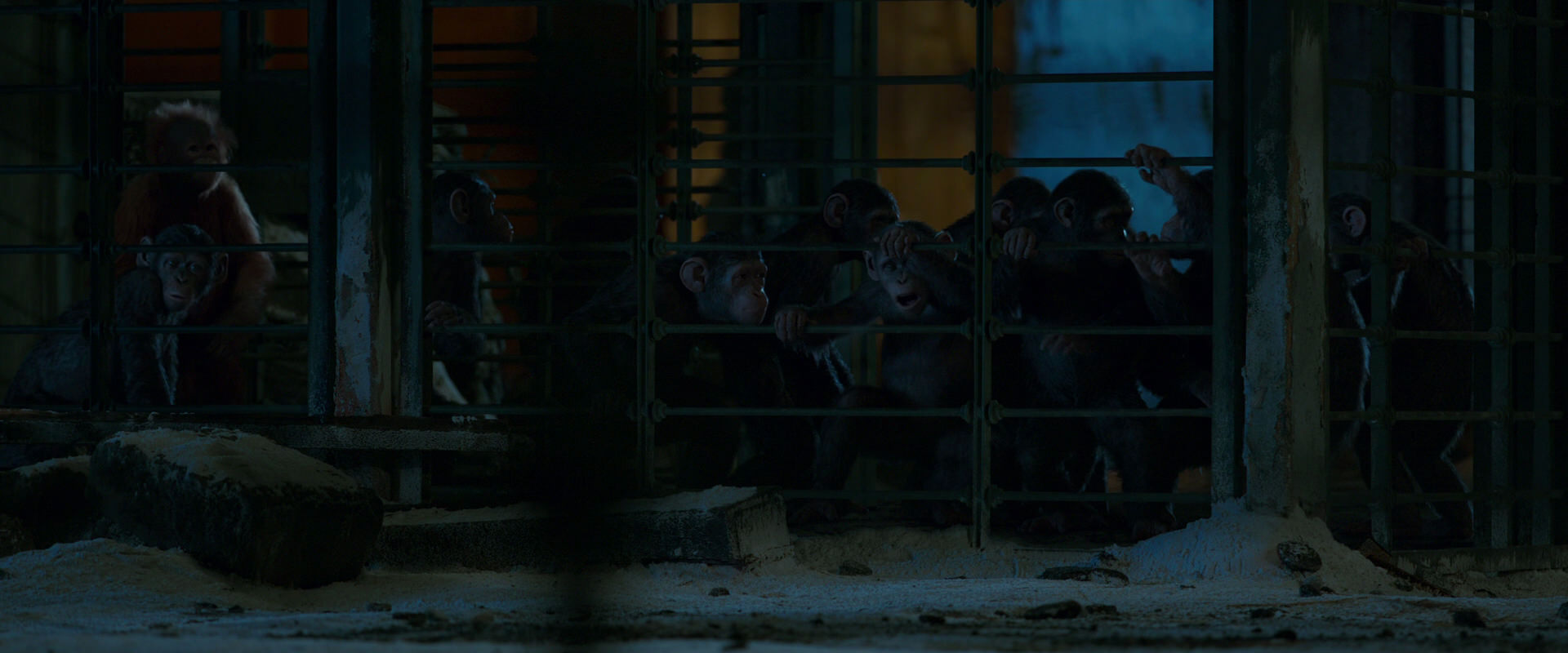 War for the Planet of the Apes (2017) movie still 7774