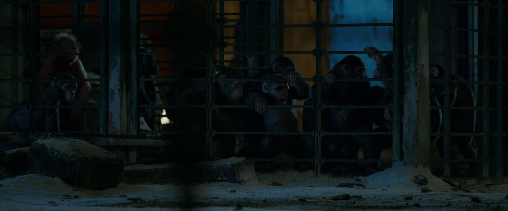 War for the Planet of the Apes (2017) HD screenshot 7775