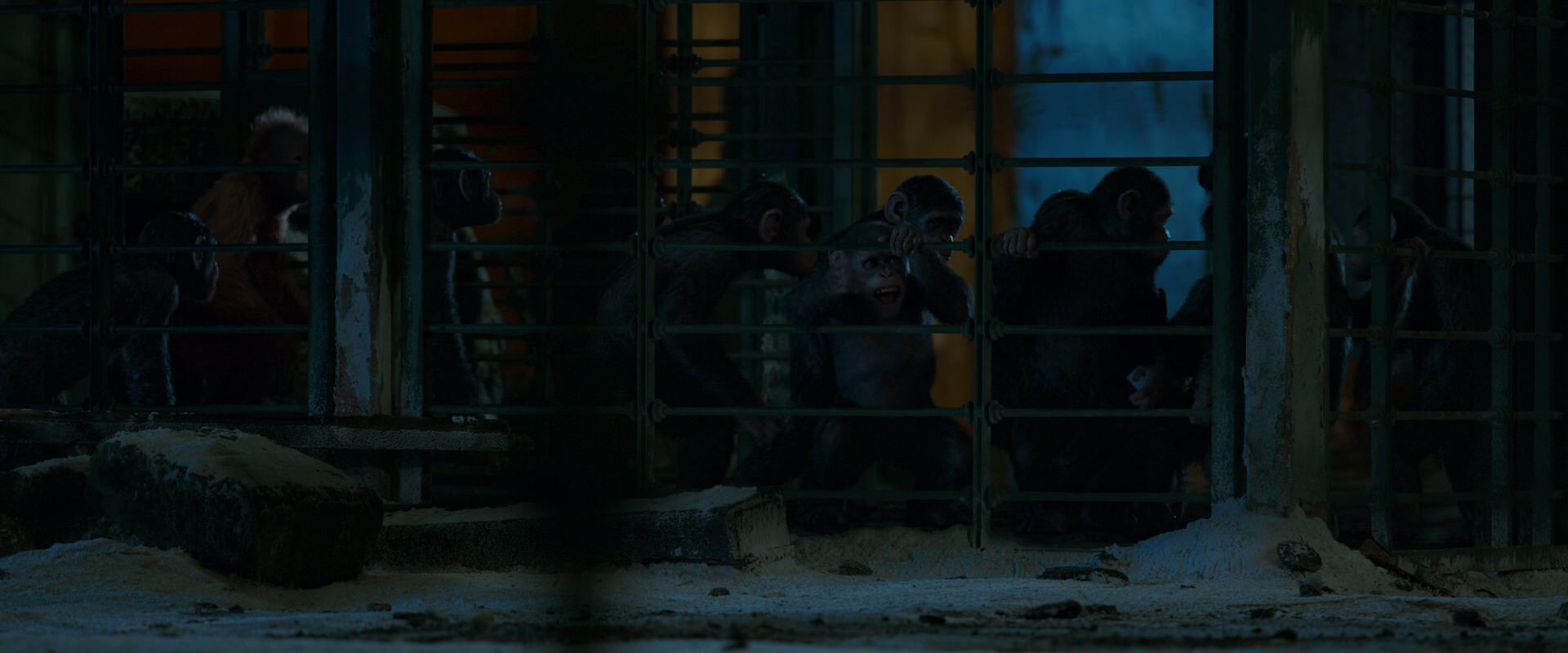 War for the Planet of the Apes (2017) movie still 7777