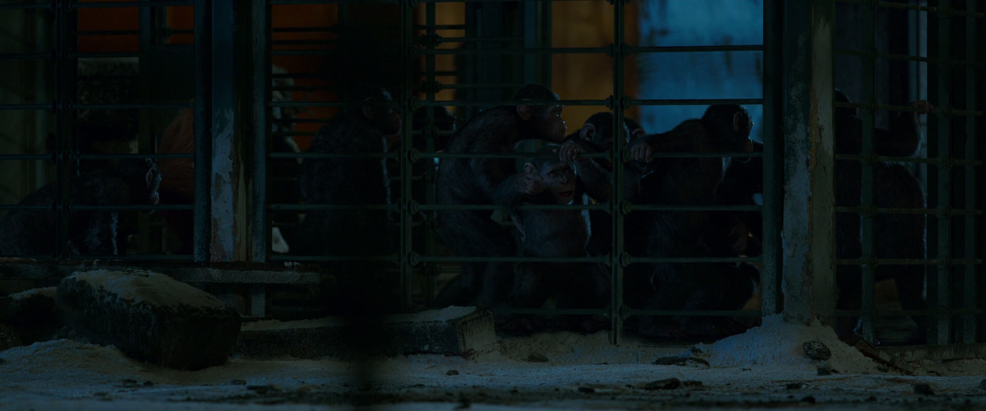 War for the Planet of the Apes (2017) screencap 7779