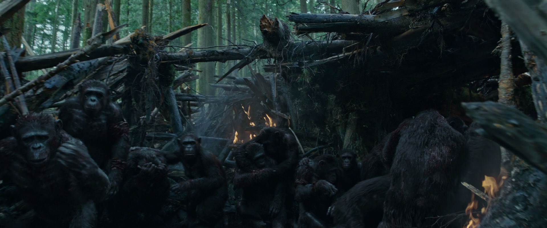 War for the Planet of the Apes (2017) movie still 778