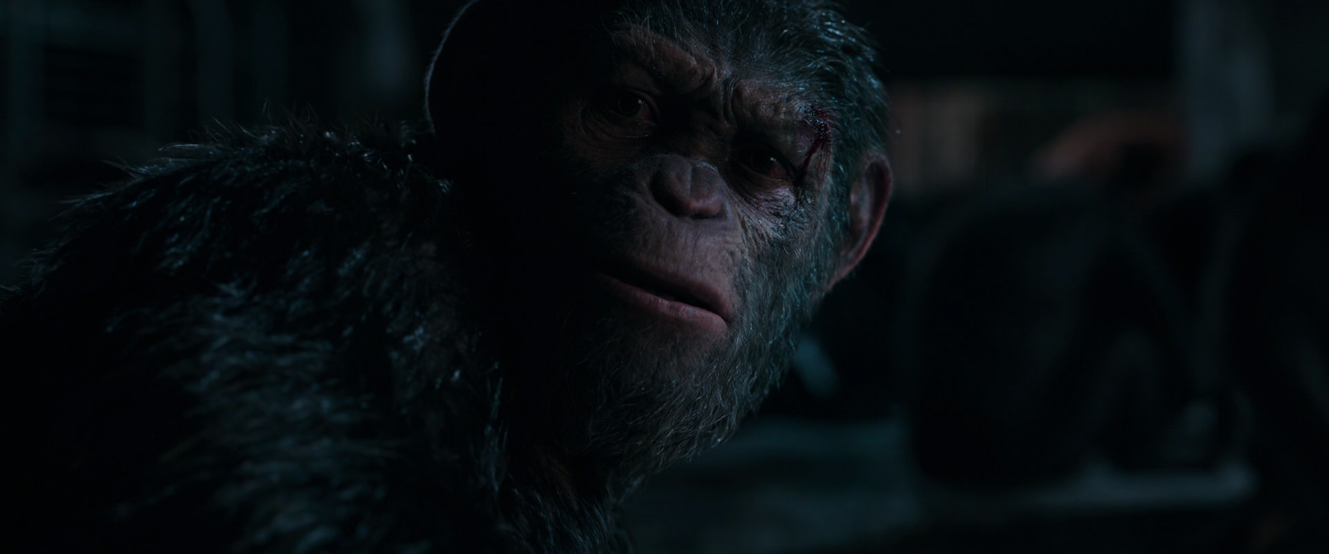 War for the Planet of the Apes (2017) movie still 7780