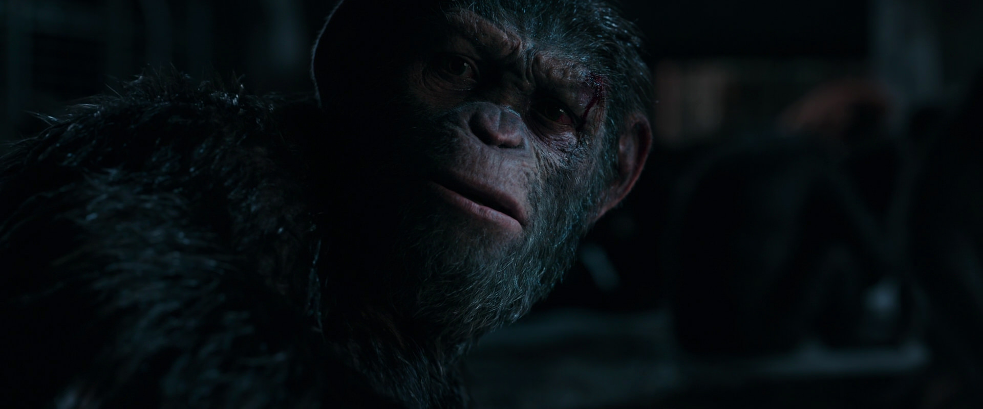 War for the Planet of the Apes (2017) screencap 7782