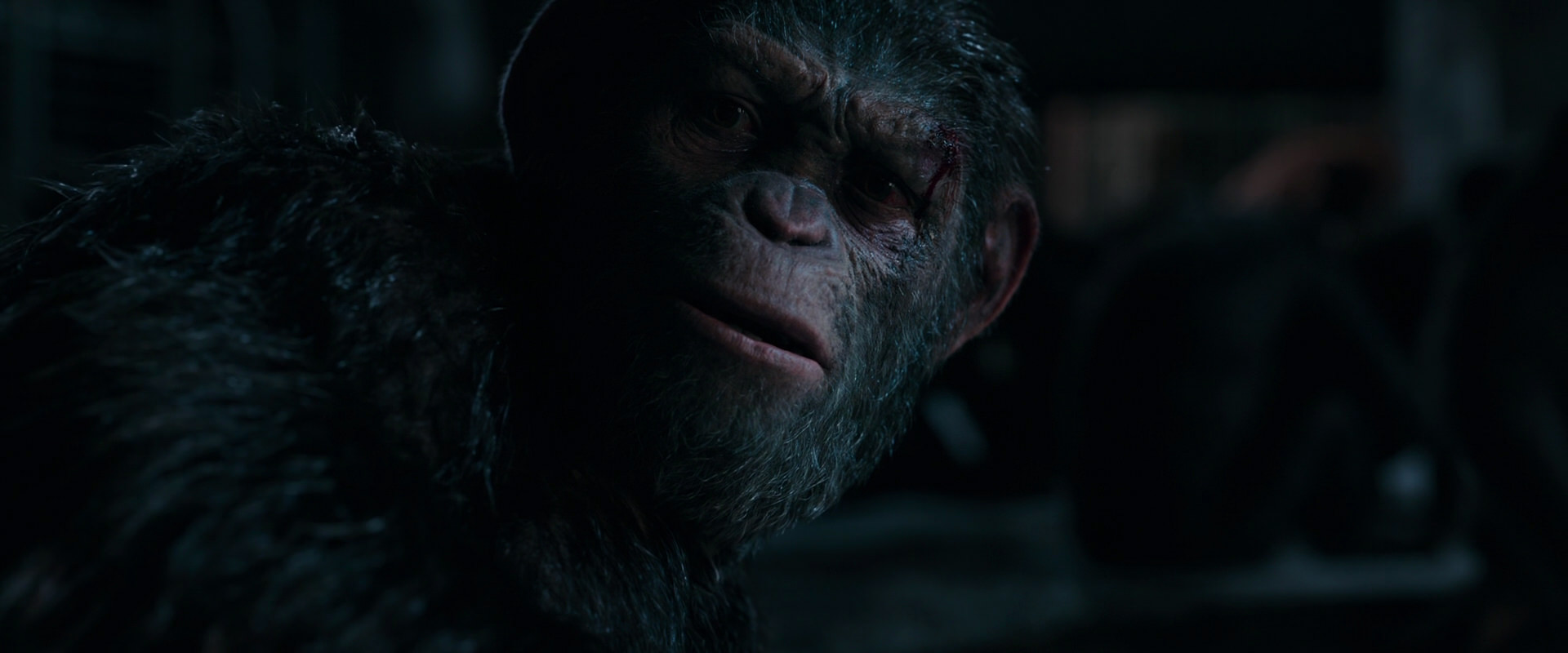 War for the Planet of the Apes (2017) movie still 7783