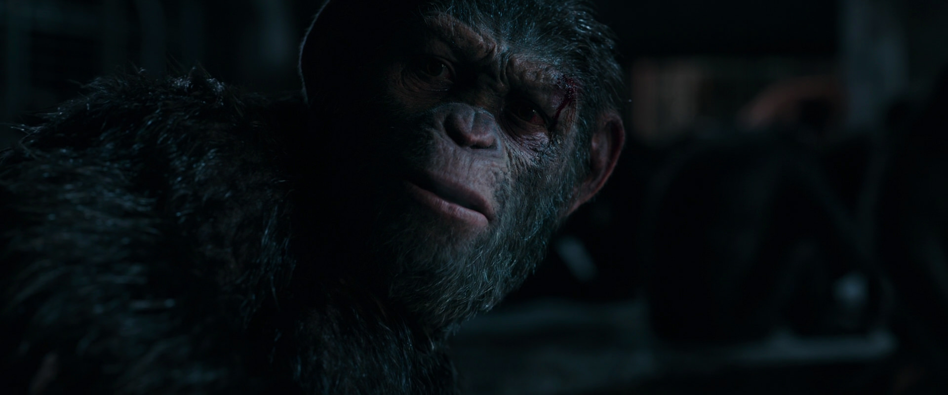 War for the Planet of the Apes (2017) HD screenshot 7784