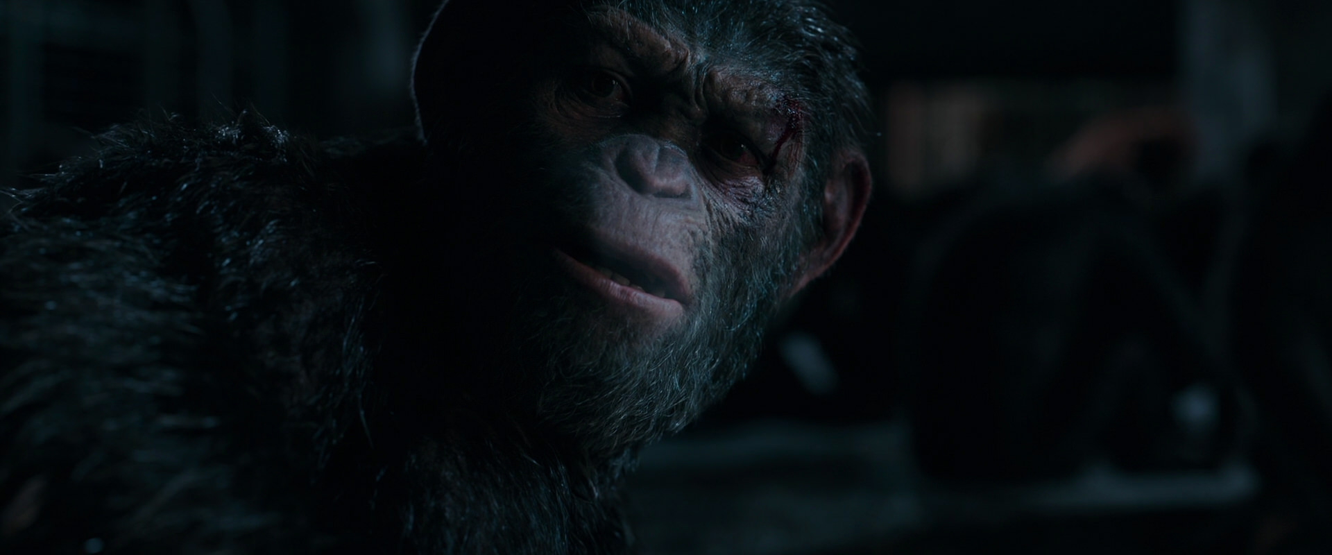 War for the Planet of the Apes (2017) screencap 7785