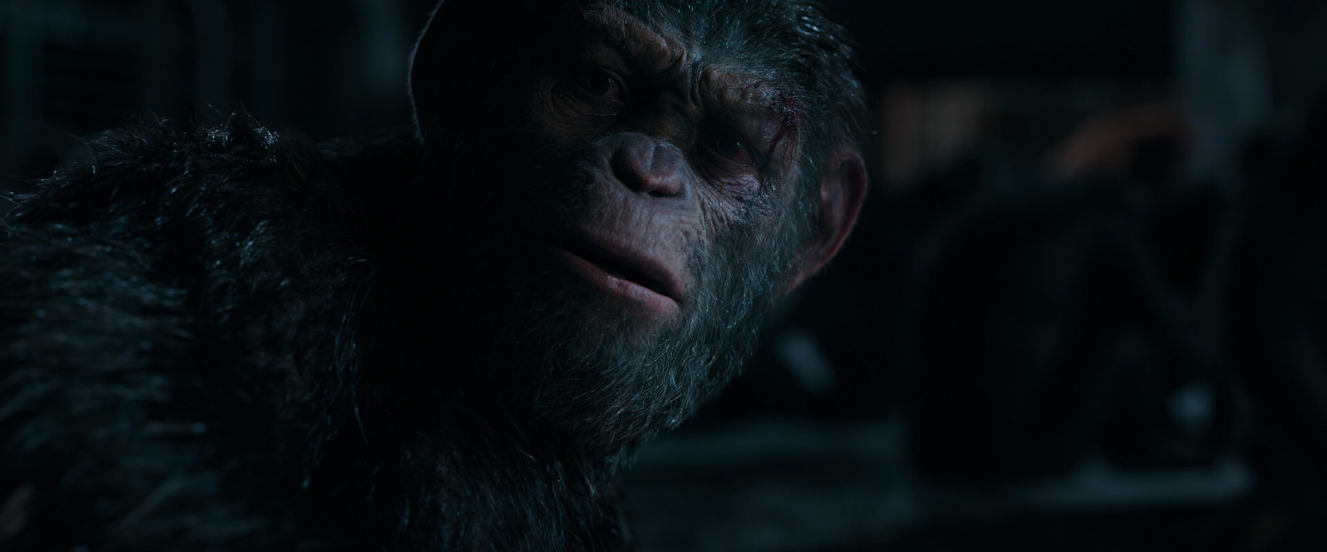 War for the Planet of the Apes (2017) movie still 7786