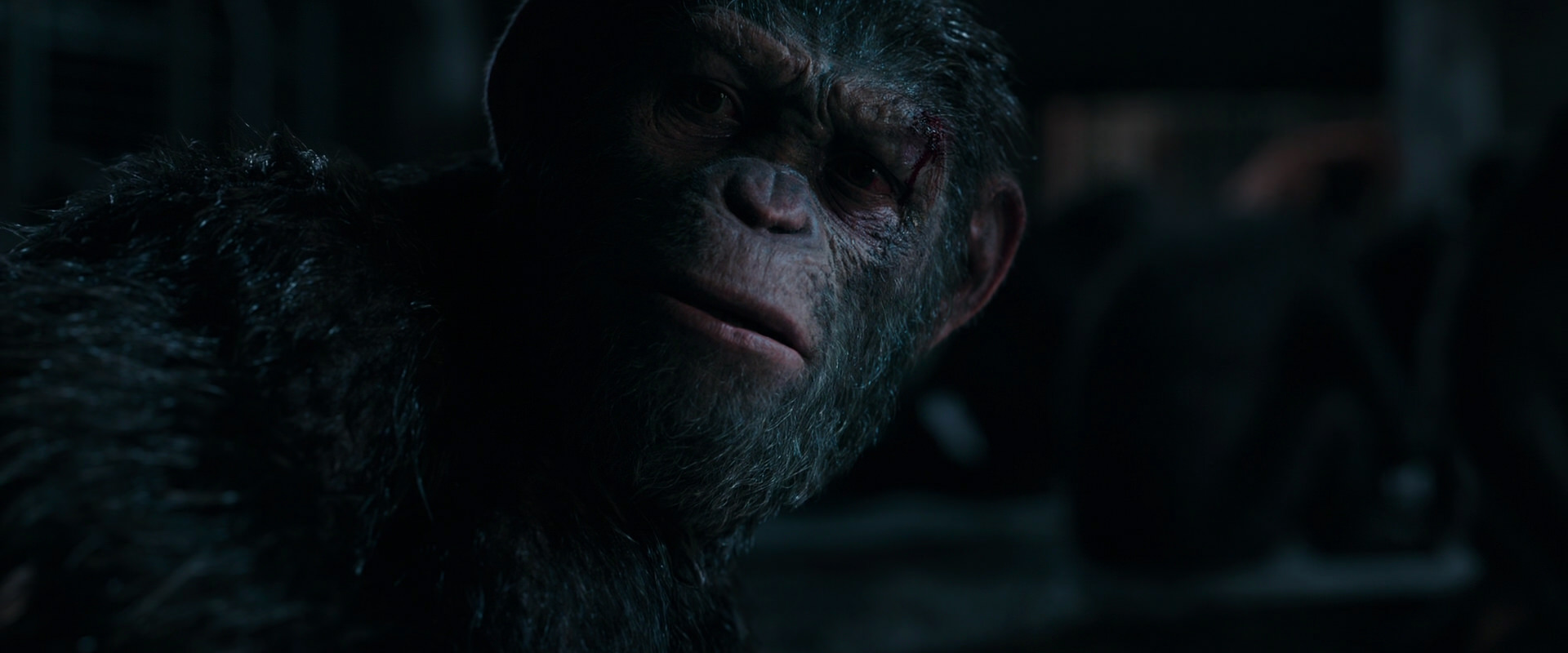 War for the Planet of the Apes (2017) HD screenshot 7787