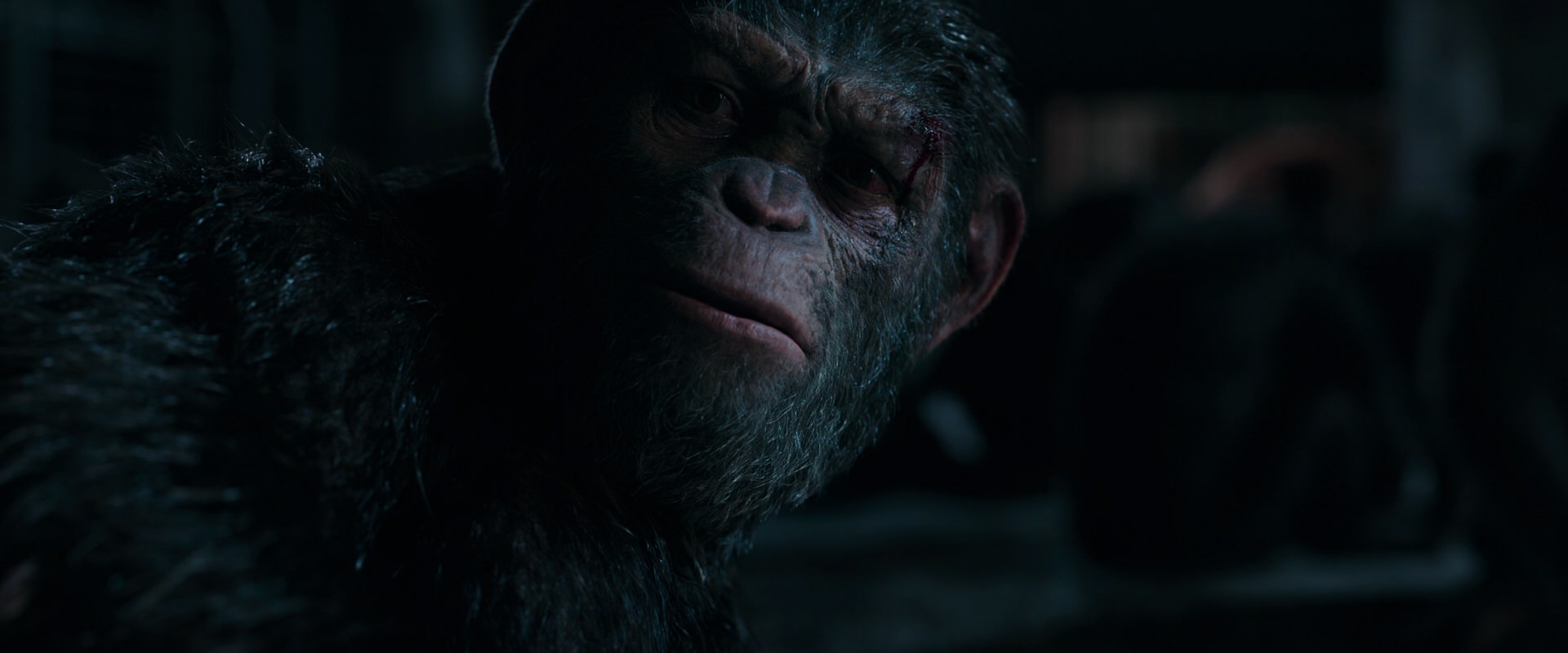 War for the Planet of the Apes (2017) movie still 7789