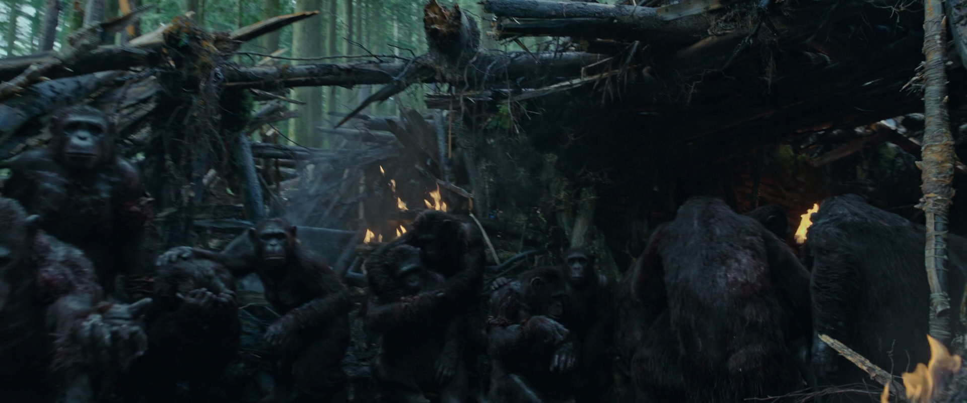 War for the Planet of the Apes (2017) HD screenshot 779