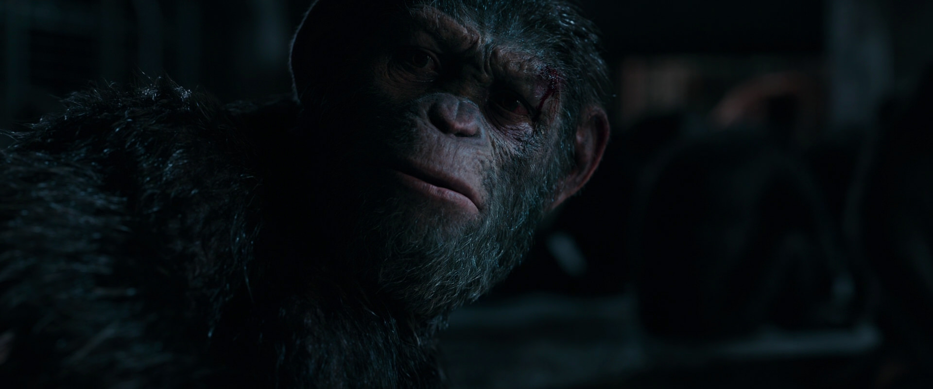 War for the Planet of the Apes (2017) HD screenshot 7790