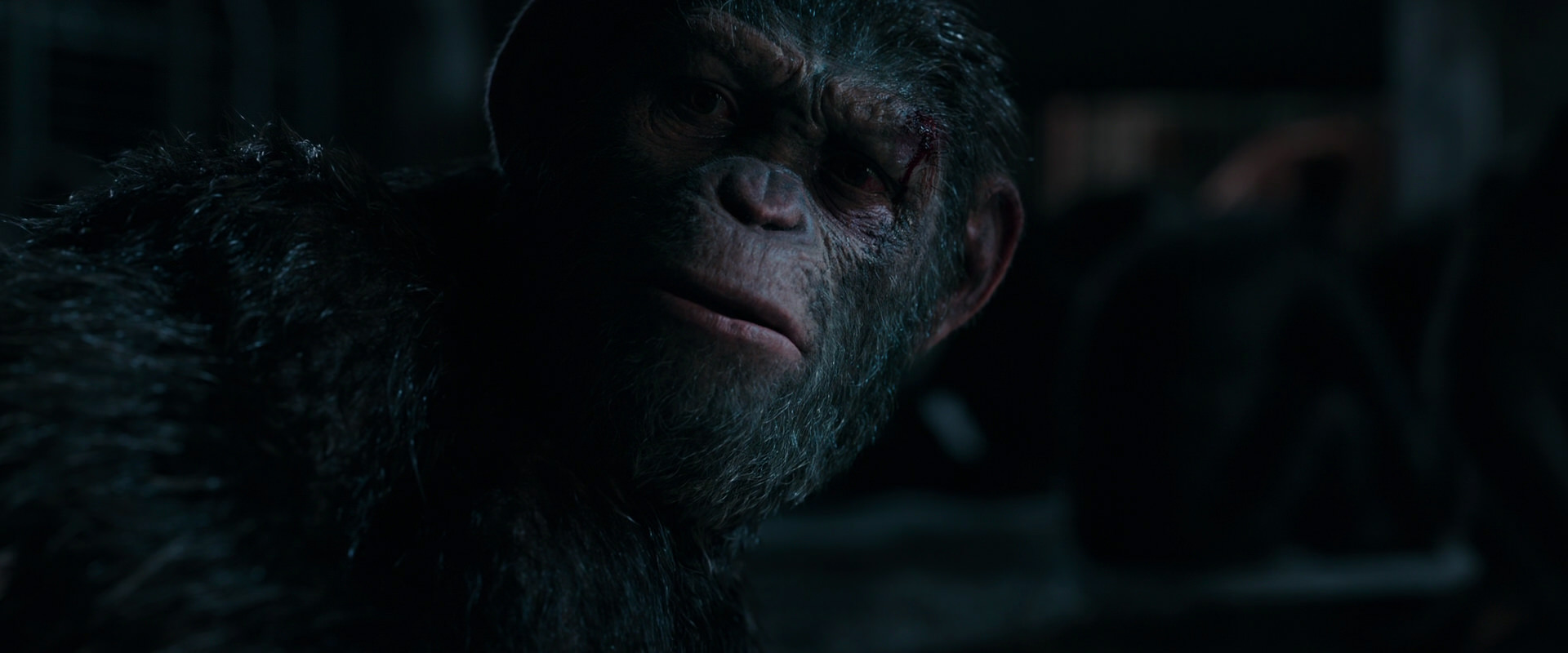 War for the Planet of the Apes (2017) screencap 7791