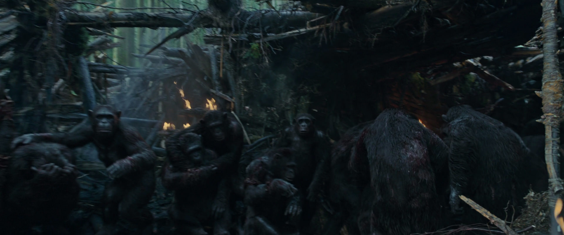 War for the Planet of the Apes (2017) screencap 780