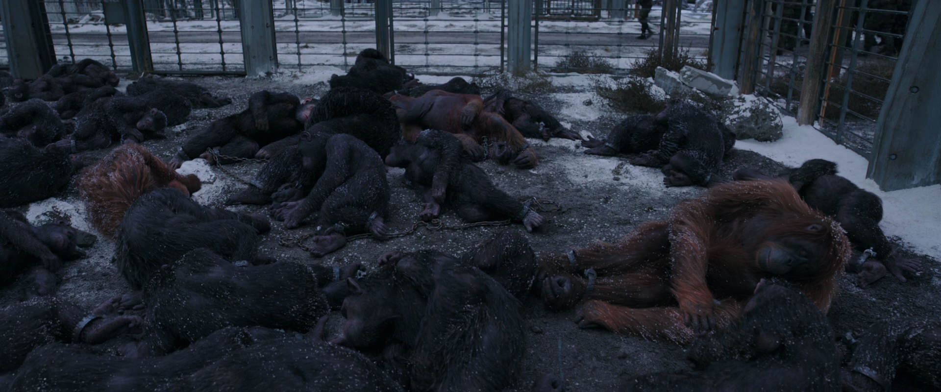 War for the Planet of the Apes (2017) screencap 7800