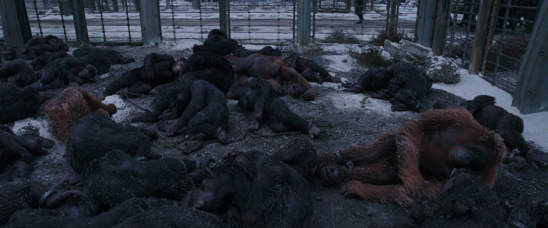 War for the Planet of the Apes (2017) movie still 7801
