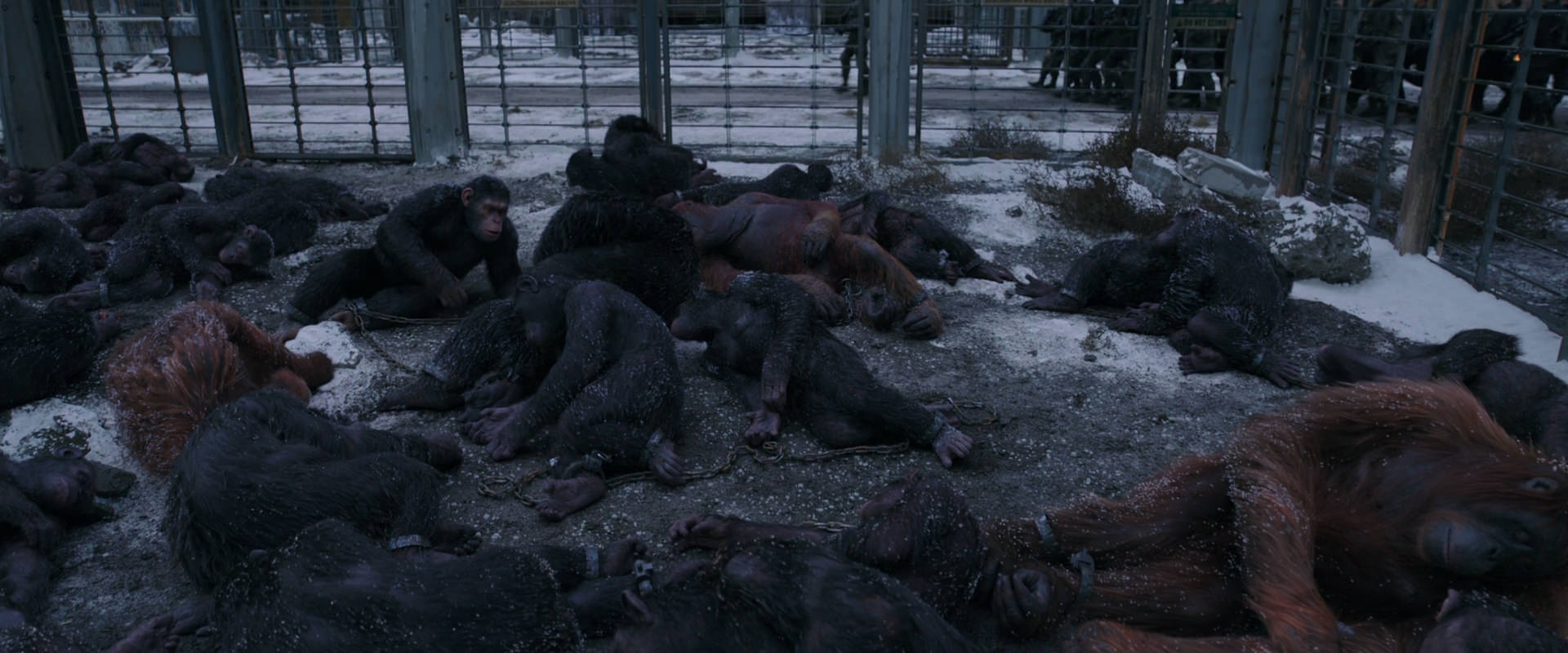 War for the Planet of the Apes (2017) HD screenshot 7805