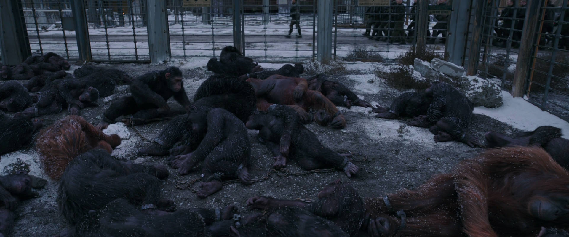 War for the Planet of the Apes (2017) screencap 7806