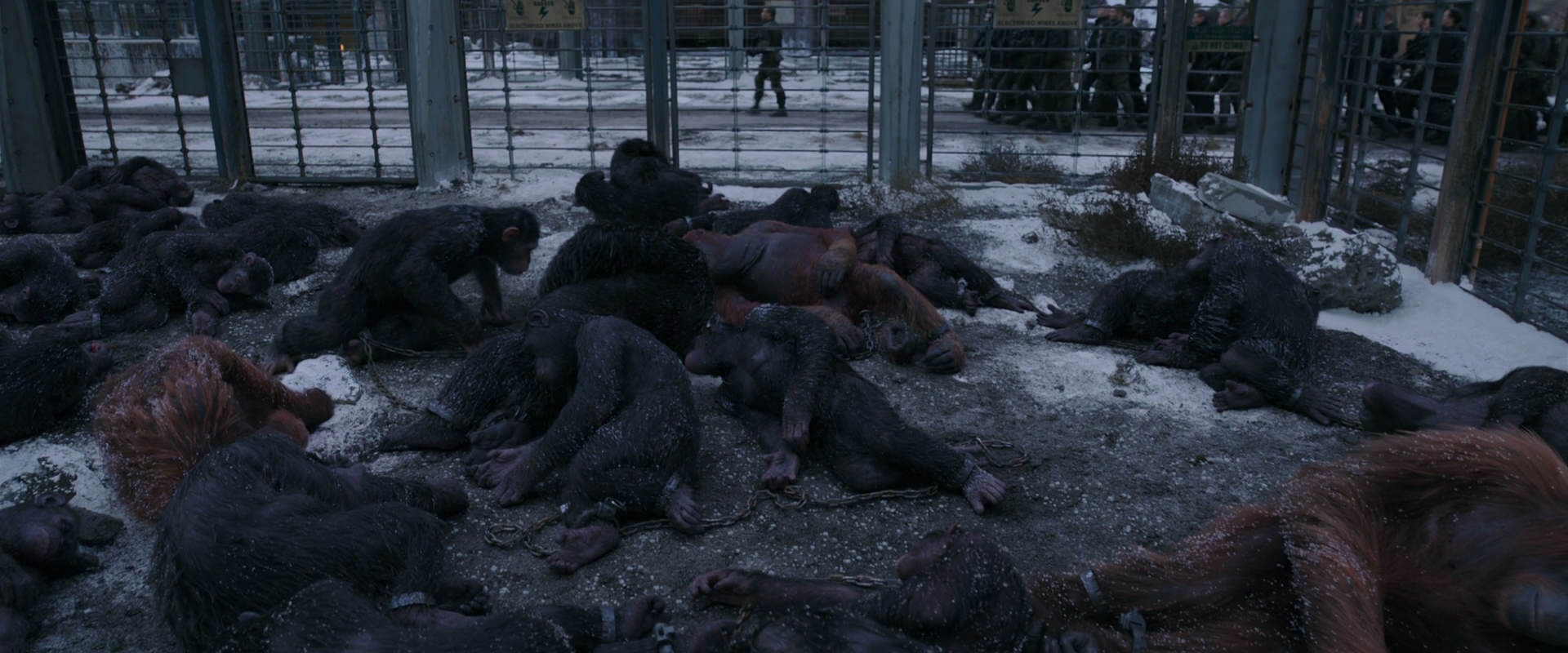 War for the Planet of the Apes (2017) movie still 7807