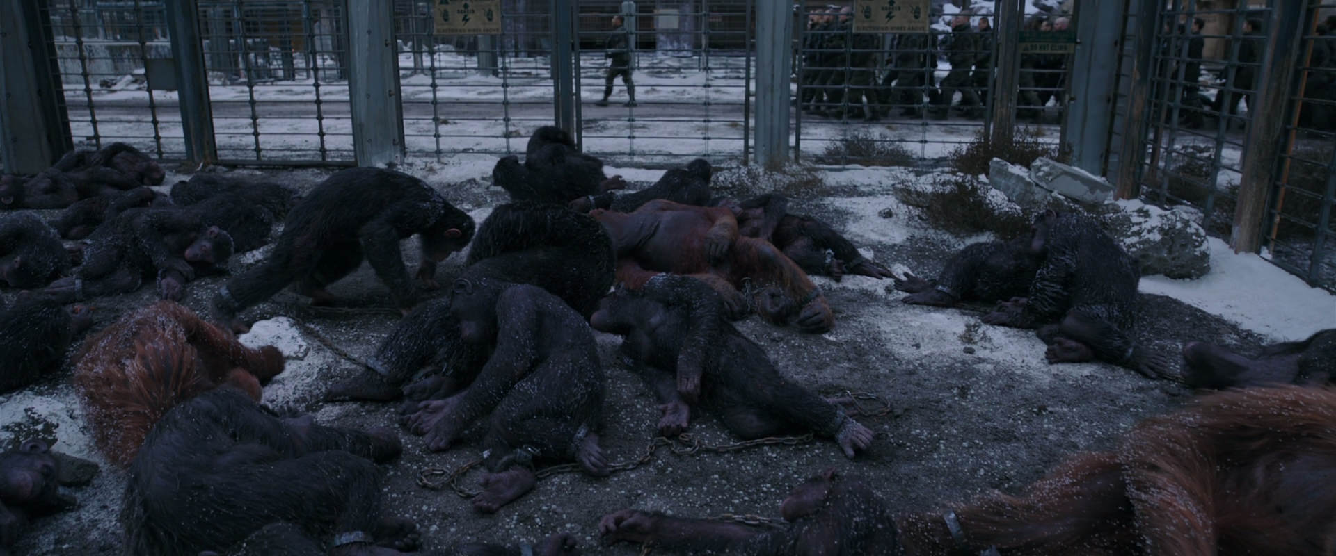 War for the Planet of the Apes (2017) HD screenshot 7808