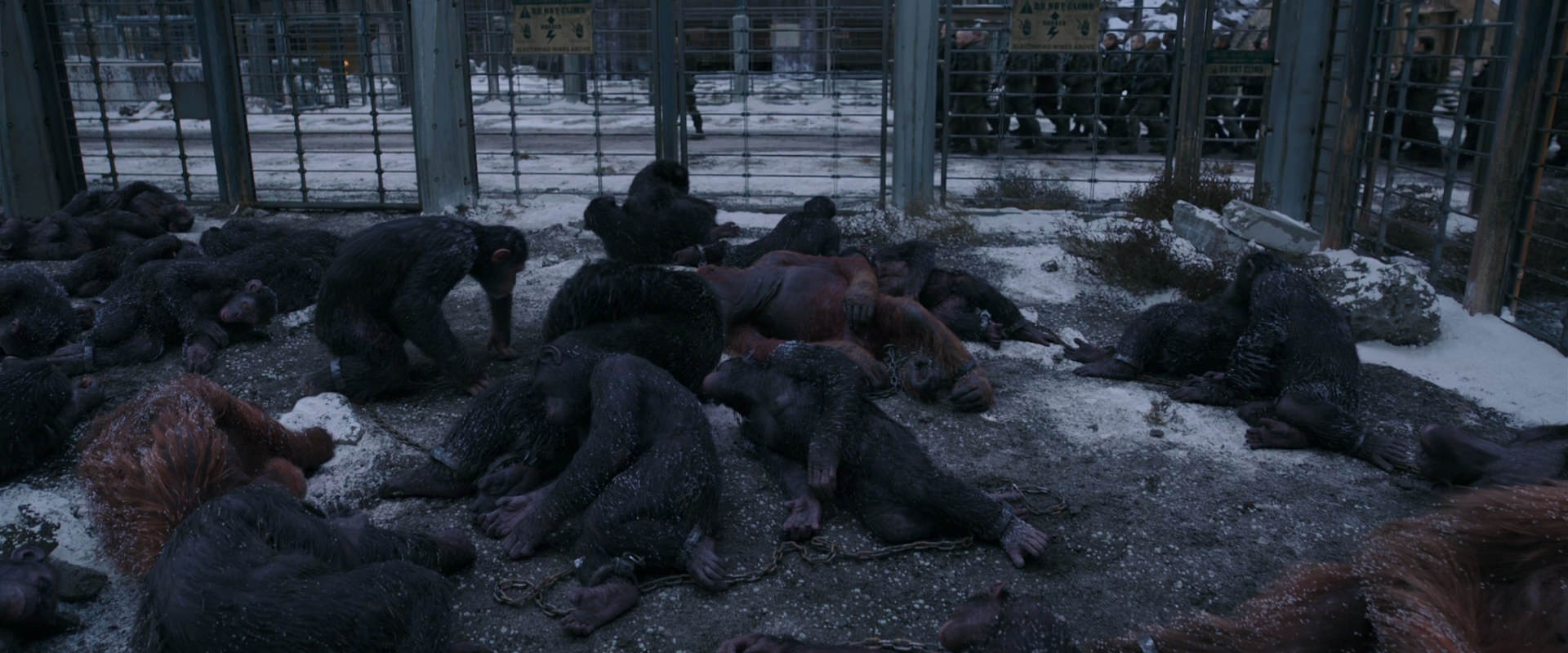 War for the Planet of the Apes (2017) screencap 7809