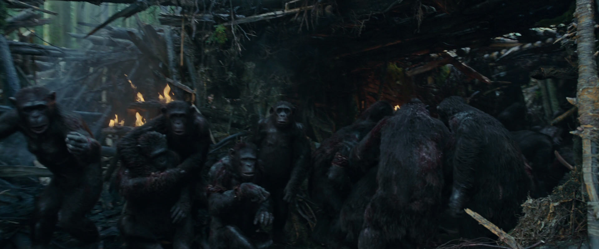 War for the Planet of the Apes (2017) movie still 781