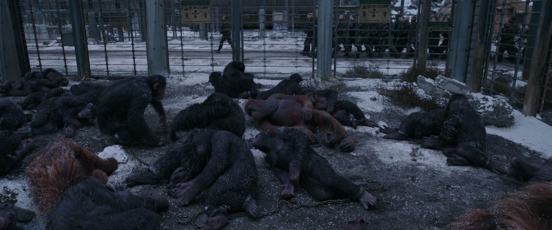 War for the Planet of the Apes (2017) movie still 7810